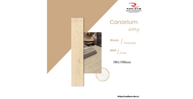 Canarium wory(Matt) 1200x200